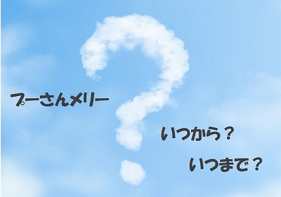 プーメリーはいつからいつまで使う 2年遊んでわかった感想